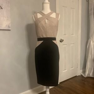 Jax Bodycon Cocktail Dress Size 8
